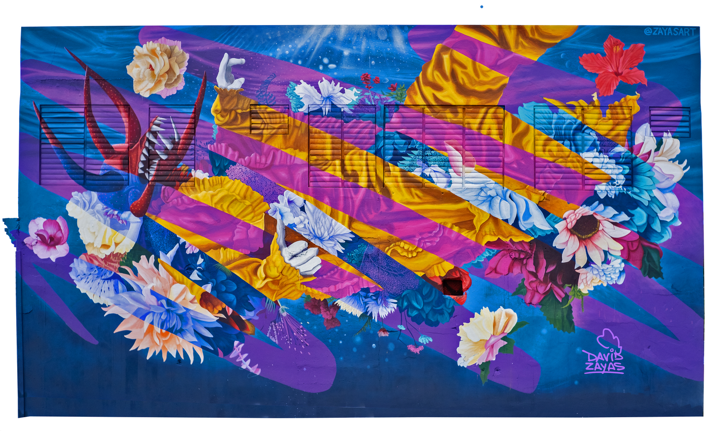 BAÑO CON SAL x David Zayas