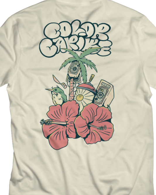 Tropicaleo 2025 - Color Caribe